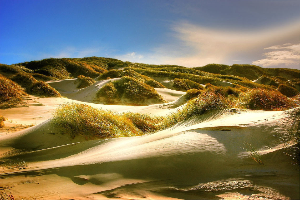 Ostsee, Nordsee oder die Alpen - Ferienhäuser in Deutschland